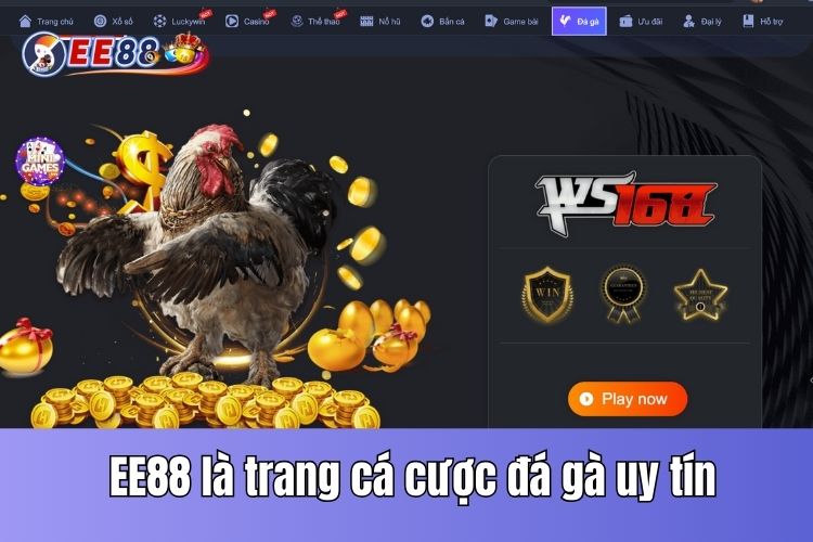 Chọn lựa cổng game uy tín để tham gia chơi đá gà